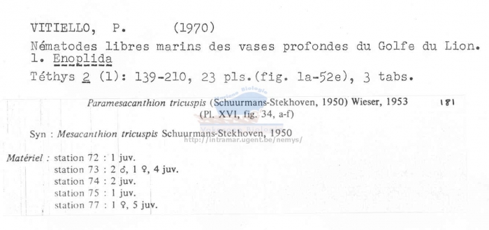 Paramesacanthion tricuspis