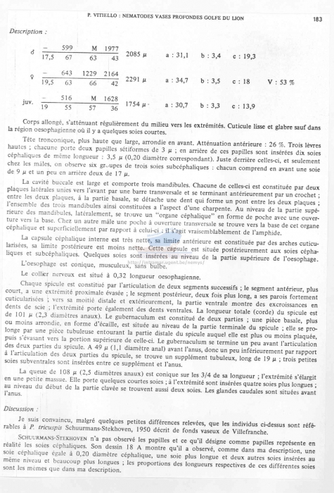 Paramesacanthion tricuspis