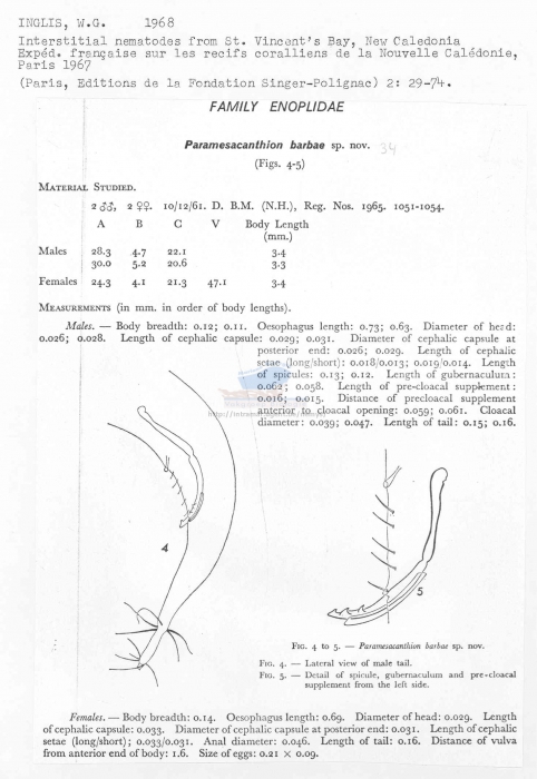 Paramesacanthion barbae