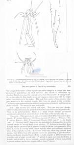 Publication snippets