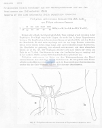 Trileptium subterraneum