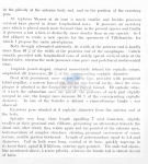 Nematode file-library of the Marine Biology Section (Ghent University, Belgium)