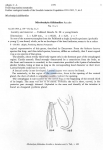 Nematode file-library of the Marine Biology Section (Ghent University, Belgium)