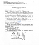 Nematode file-library of the Marine Biology Section (Ghent University, Belgium)