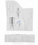 Nematode file-library of the Marine Biology Section (Ghent University, Belgium)