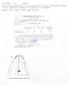 Nematoda (roundworms)