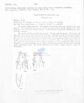 Nematode file-library of the Marine Biology Section (Ghent University, Belgium)
