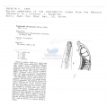 Nematoda (roundworms)