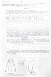 Nematode file-library of the Marine Biology Section (Ghent University, Belgium)