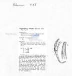 Nematode file-library of the Marine Biology Section (Ghent University, Belgium)