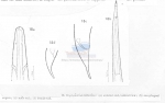 Nematode file-library of the Marine Biology Section (Ghent University, Belgium)