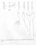 Nematode file-library of the Marine Biology Section (Ghent University, Belgium)