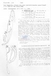 Nematode file-library of the Marine Biology Section (Ghent University, Belgium)