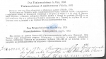 Nematode file-library of the Marine Biology Section (Ghent University, Belgium)