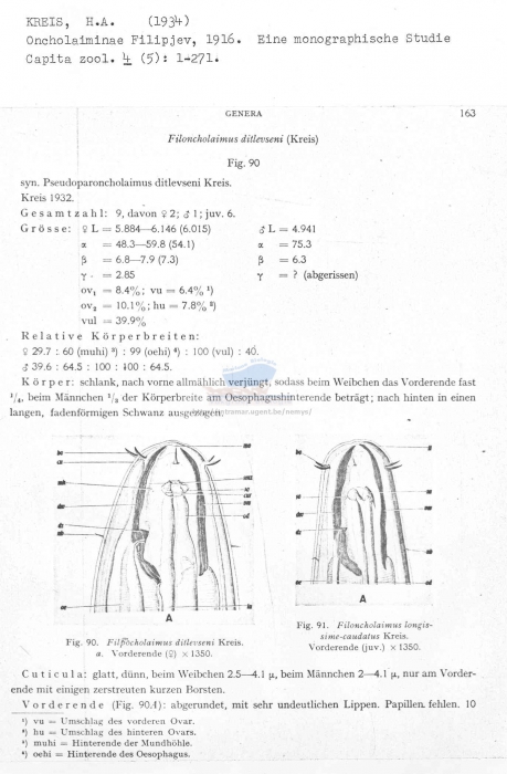 Filoncholaimus ditlevseni