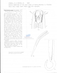 Metoncholaimus scissus