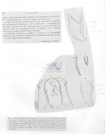 Nematode file-library of the Marine Biology Section (Ghent University, Belgium)