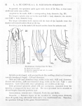 Nematode file-library of the Marine Biology Section (Ghent University, Belgium)