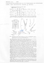 Oncholaimus brachycercus