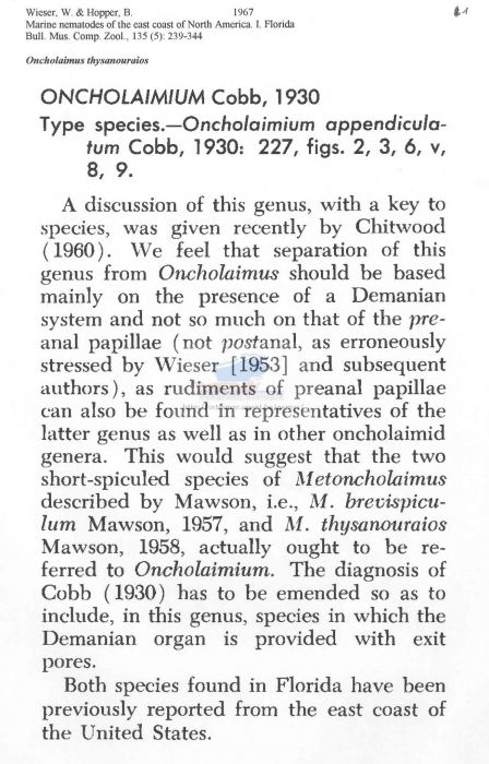 Oncholaimus thysanouraios