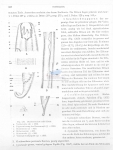 Nematode file-library of the Marine Biology Section (Ghent University, Belgium)