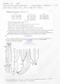 Nematoda (roundworms)