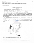 Nematode file-library of the Marine Biology Section (Ghent University, Belgium)