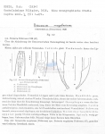 Nematode file-library of the Marine Biology Section (Ghent University, Belgium)