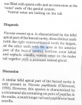 Nematode file-library of the Marine Biology Section (Ghent University, Belgium)