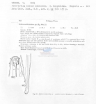 Nematode file-library of the Marine Biology Section (Ghent University, Belgium)
