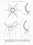 Nematode file-library of the Marine Biology Section (Ghent University, Belgium)
