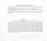 Nematode file-library of the Marine Biology Section (Ghent University, Belgium)