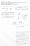 Nematode file-library of the Marine Biology Section (Ghent University, Belgium)