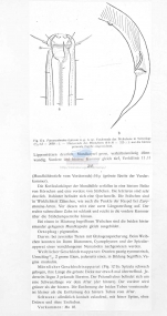 Publication snippets