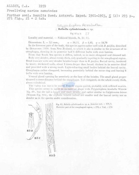 Polygastrophora hexabulba