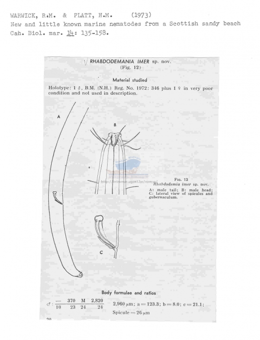 Rhabdodemania imer