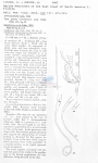 Nematode file-library of the Marine Biology Section (Ghent University, Belgium)