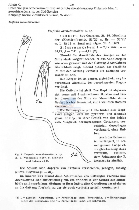 Trefusia axonolaimoides