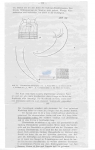Nematode file-library of the Marine Biology Section (Ghent University, Belgium)