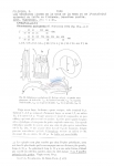 Nematode file-library of the Marine Biology Section (Ghent University, Belgium)