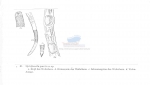 Nematode file-library of the Marine Biology Section (Ghent University, Belgium)