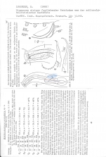 Dichromadora scandula