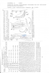 Nematode file-library of the Marine Biology Section (Ghent University, Belgium)