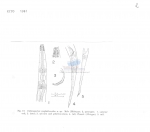 Nematode file-library of the Marine Biology Section (Ghent University, Belgium)