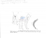 Nematode file-library of the Marine Biology Section (Ghent University, Belgium)
