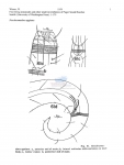 Nematode file-library of the Marine Biology Section (Ghent University, Belgium)