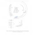 Nematoda (roundworms)