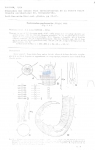 Nematode file-library of the Marine Biology Section (Ghent University, Belgium)