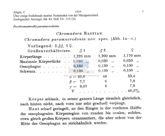 Prochromadorella paramucrodonta