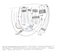 Nematoda (roundworms)